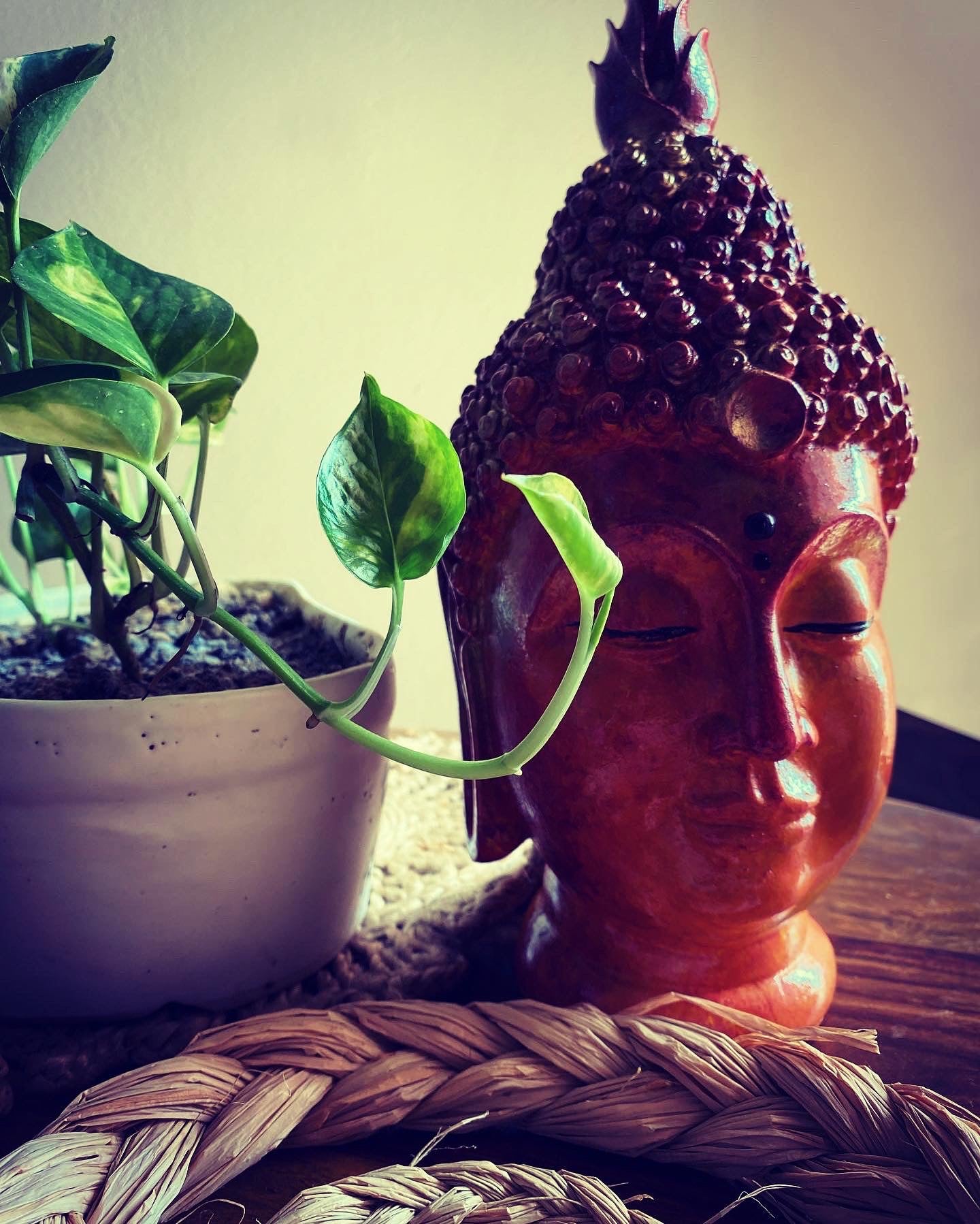 Terracotta Tranquility – Handcrafted Buddha Head 🧡🌿