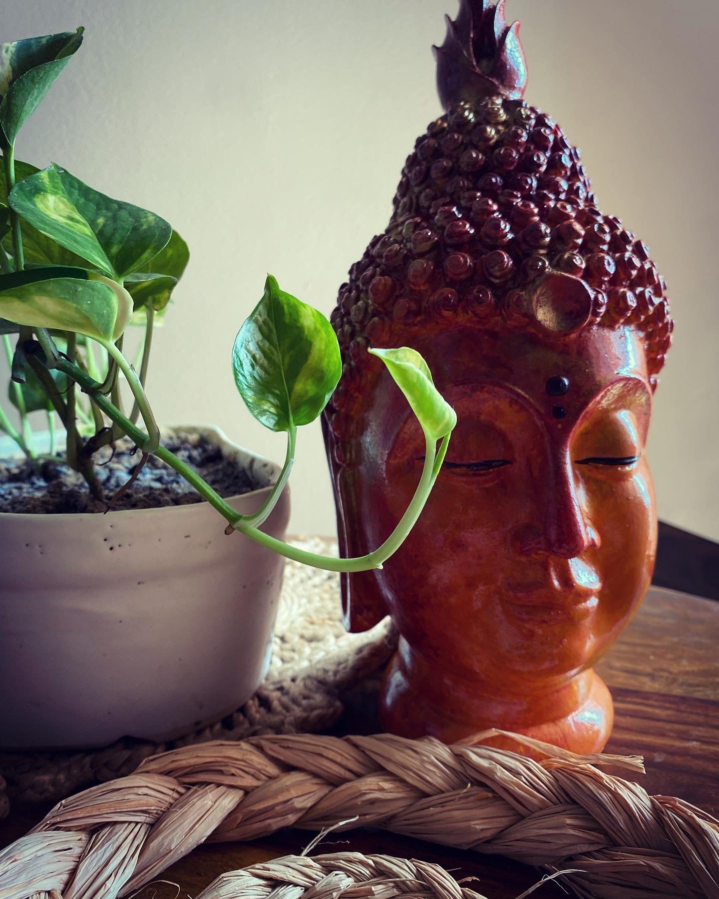 Terracotta Tranquility – Handcrafted Buddha Head 🧡🌿